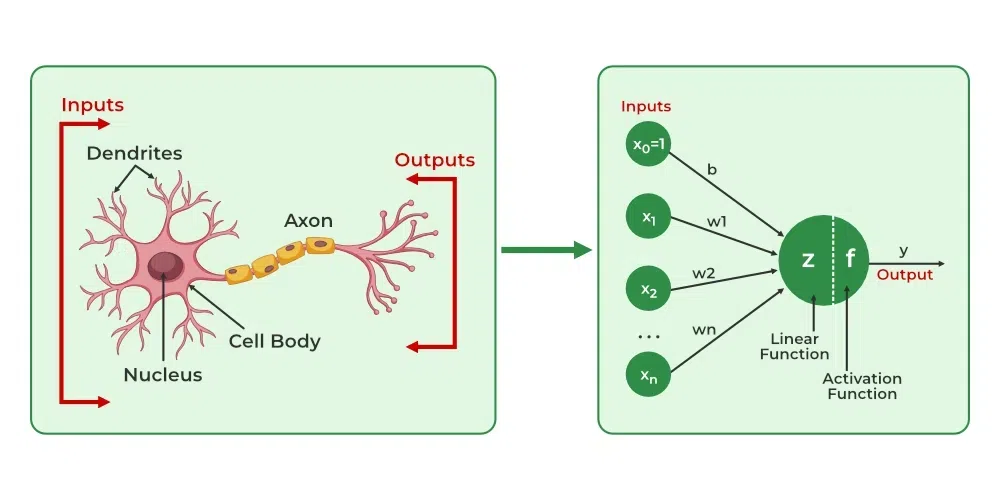 Artificial-Neural-Networks.webp